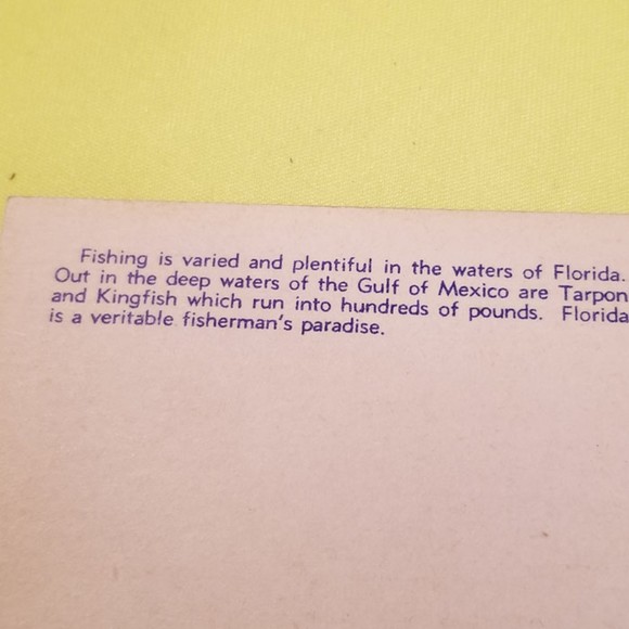 Vintage Postcard Catch of Kingfish 64855 - Picture 7 of 10